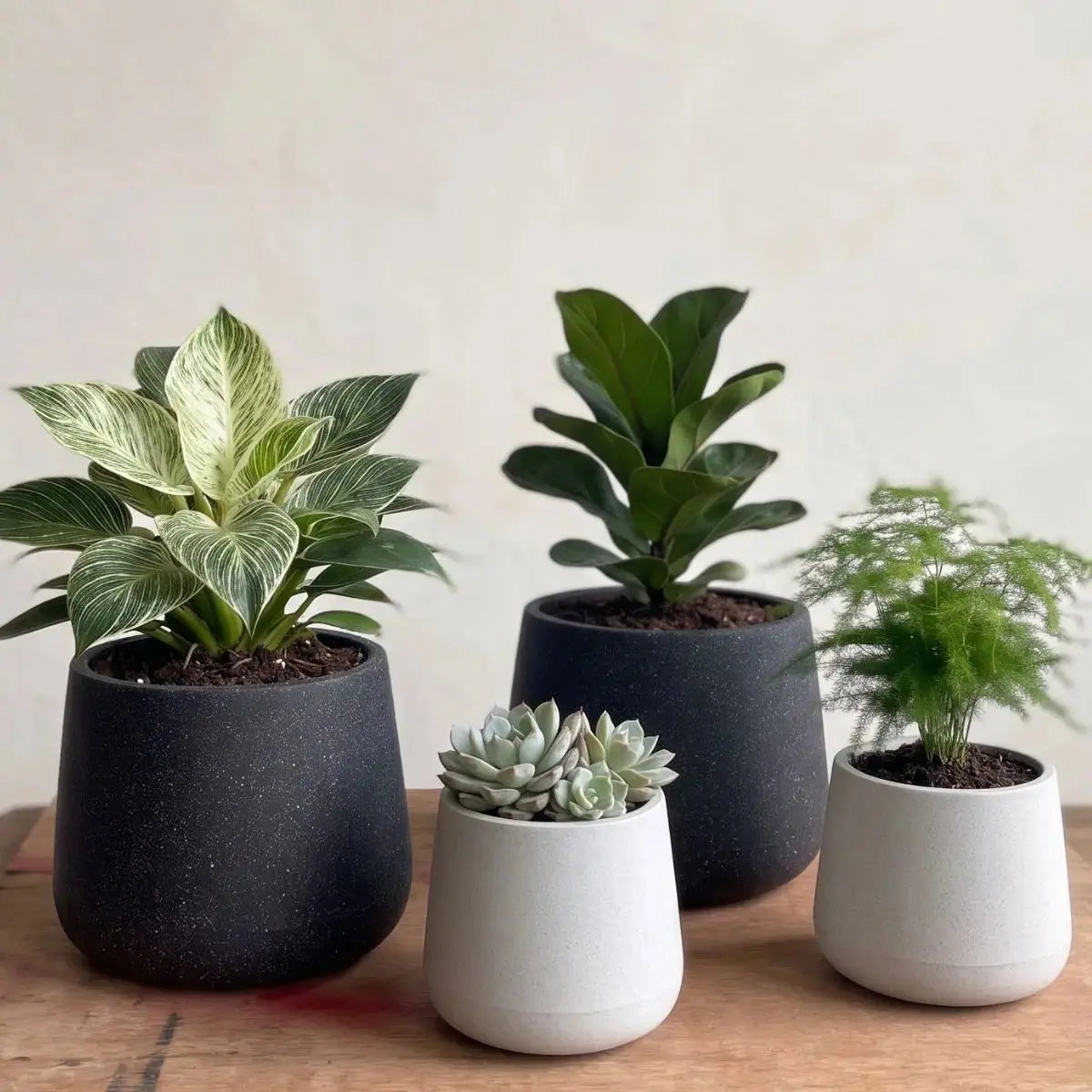 Brinlo Premium Plastic Detachable Flower Pot Speckled Space