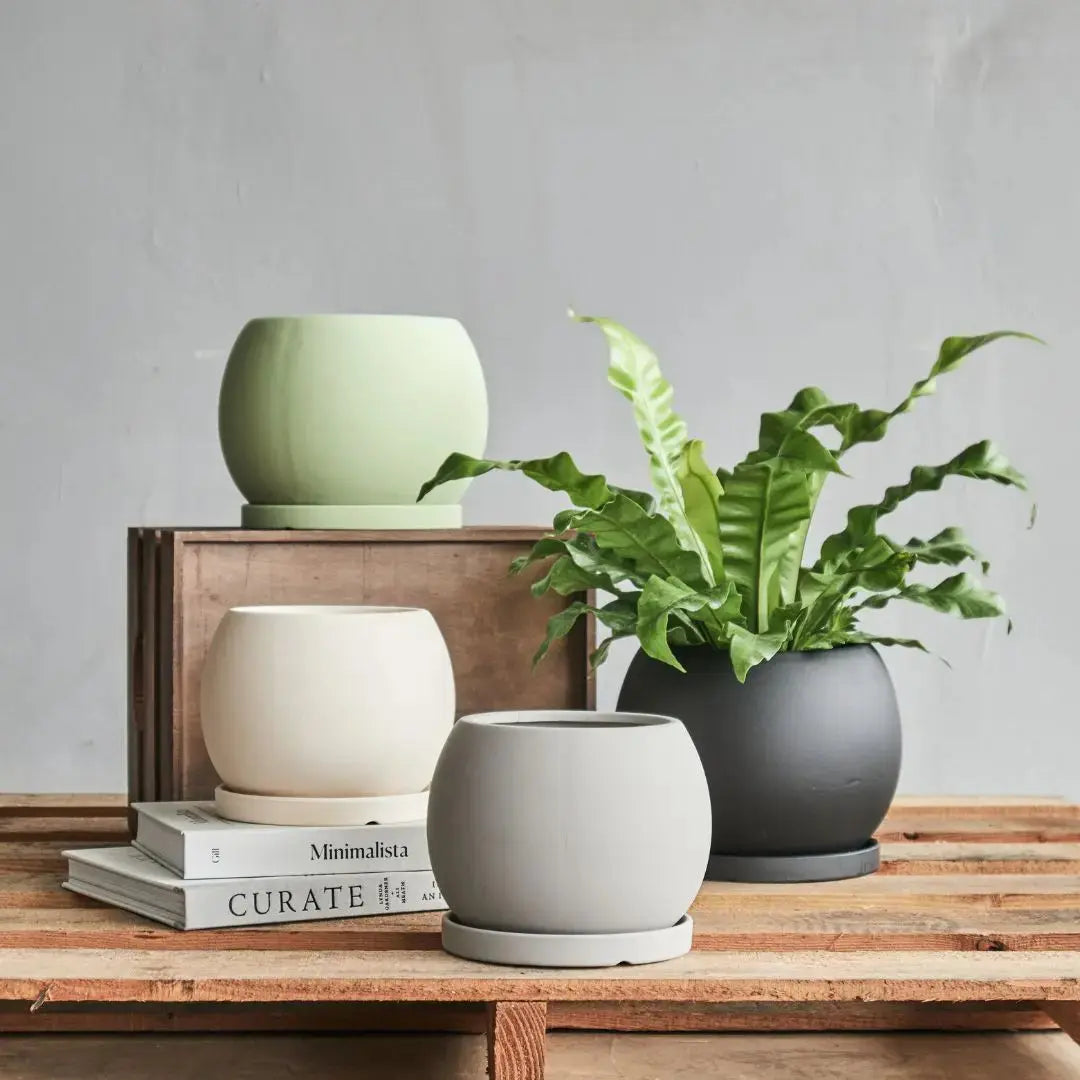 Minimalist matte ceramic flower pots with drainage saucers in an assortment of muted, earthy tones.