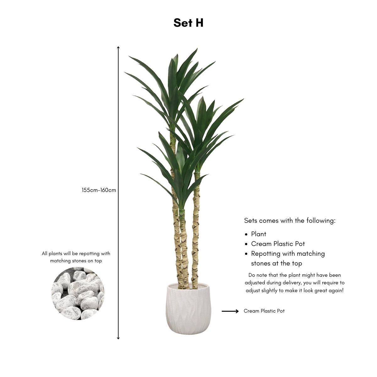 Faux Yucca Plant