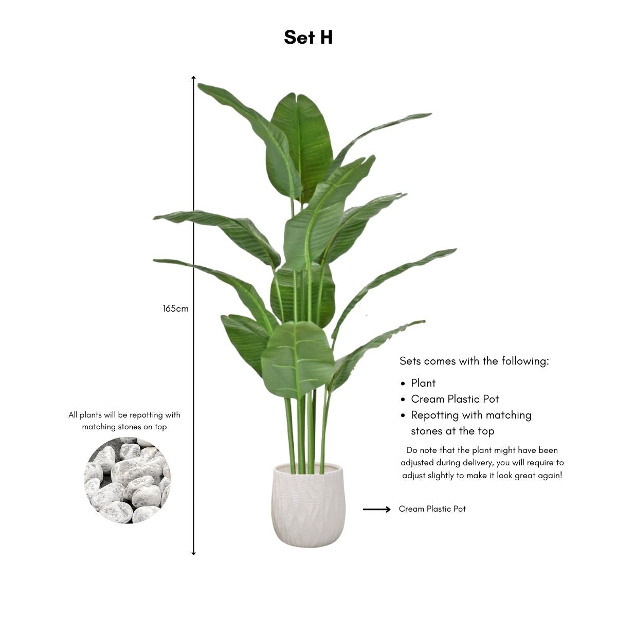 Faux Banana Leaf / Ravenala Plant - 160cm