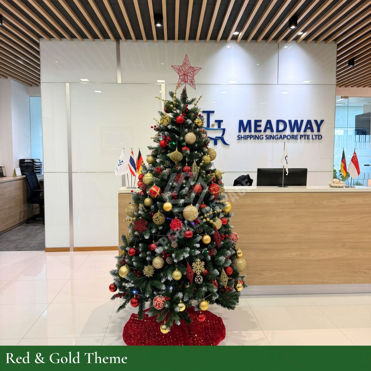 Past Christmas Tree Setup