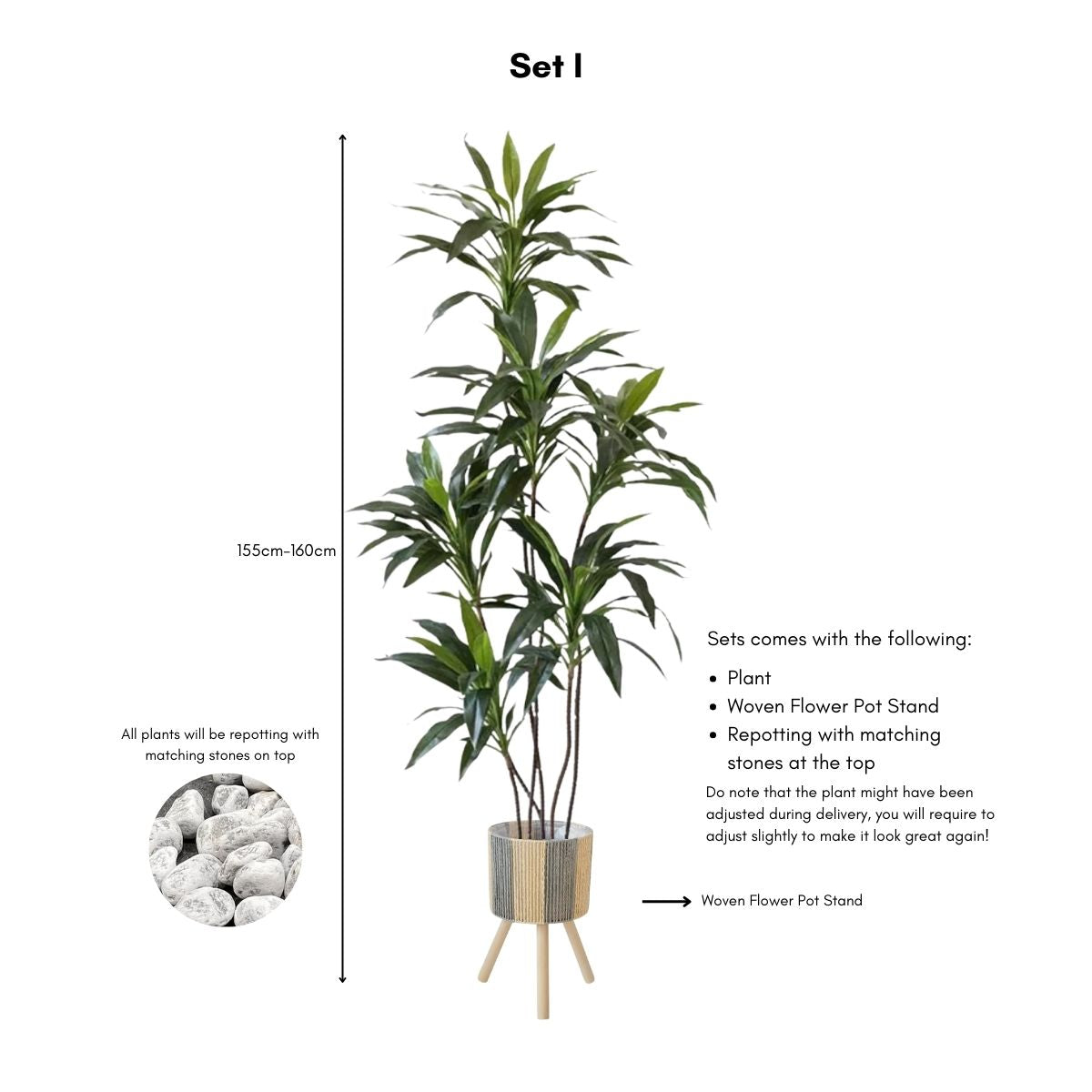 Faux Dracena Swan Plant