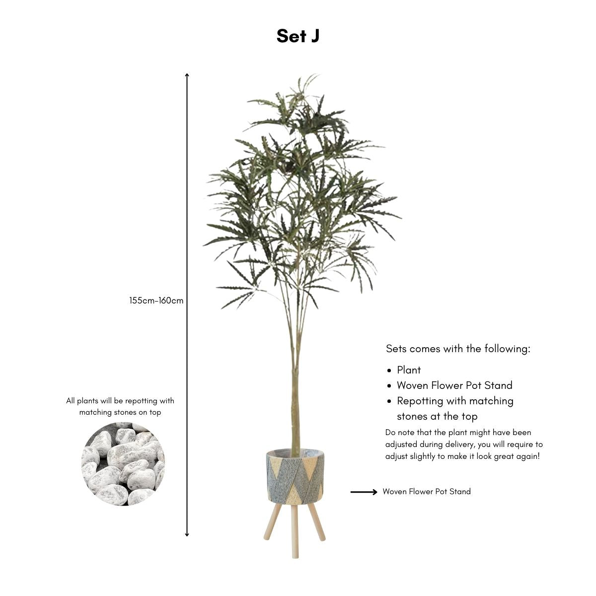 Faux False Aralia Plant