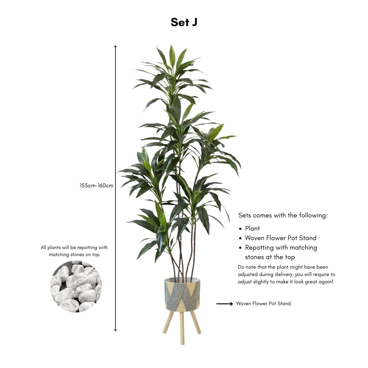 Faux Dracena Swan Plant