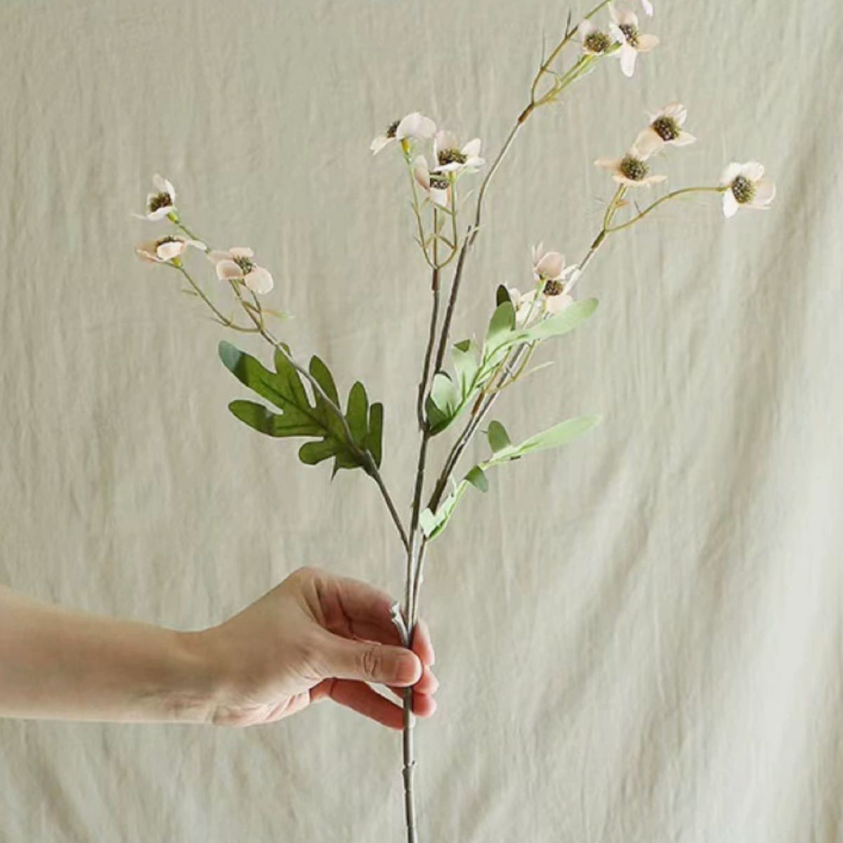 Faux Cosmos Wildflower - Champagne