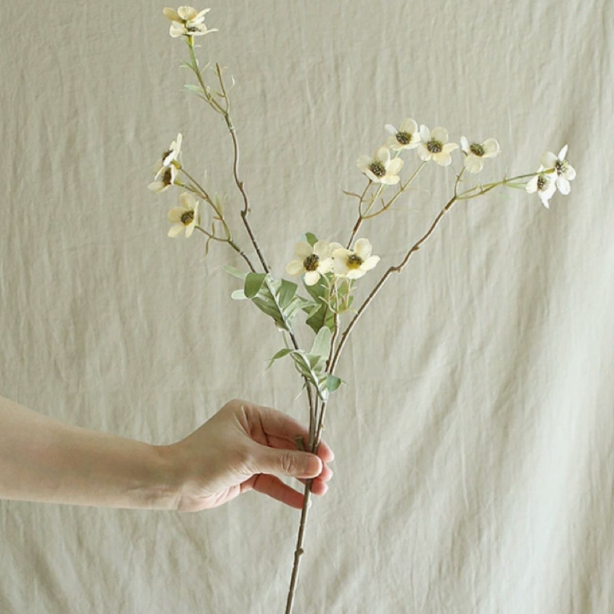Faux Cosmos Wildflower - Cream