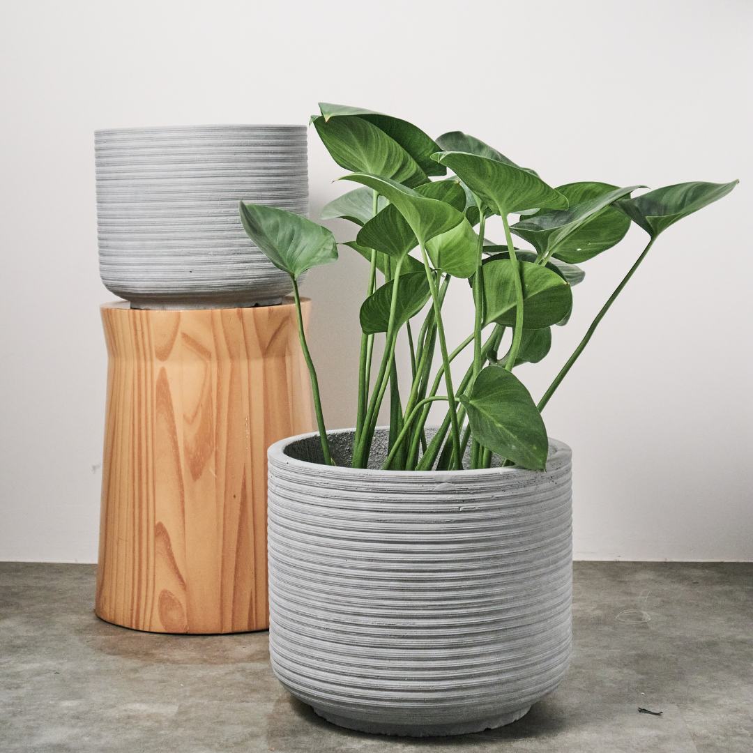 Pylota Concrete Flower Pot - M