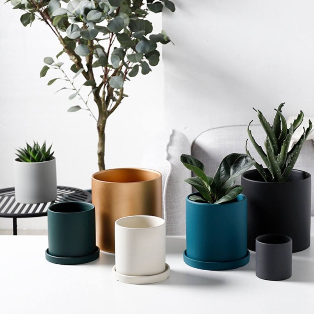 Plainy Colourful Ceramic Plant Flower Pots