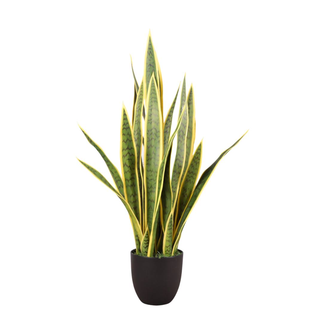 Artificial Sanseveria / Snake Plant (Duo Colour) - 89cm