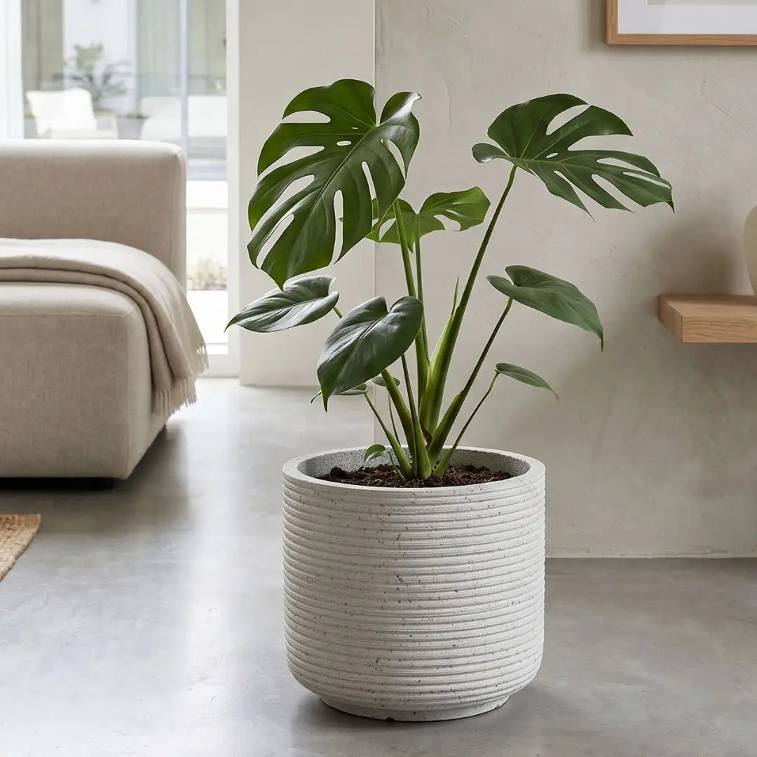 Pylota Concrete Flower Pot - N   Large Outdoor Flower Pot Speckled Space
