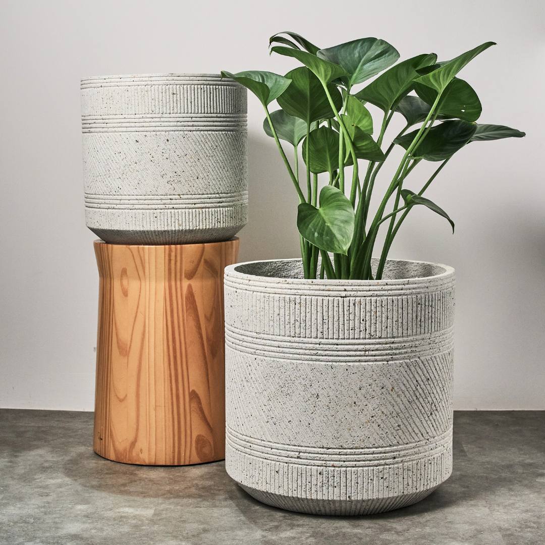 Pylota Concrete Flower Pot - S