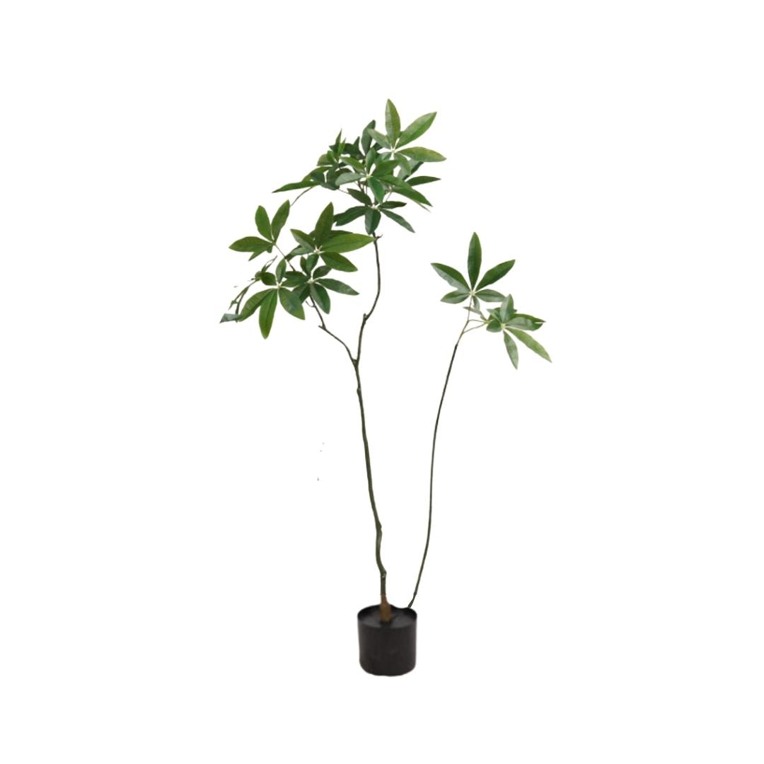 Artificial Pachira Money Tree