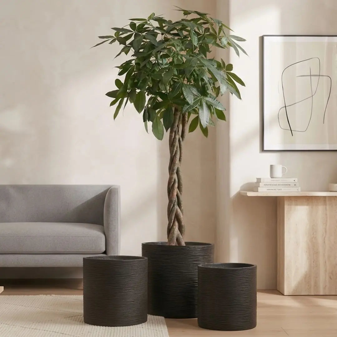 Pylota Black Concrete Flower Pot - Design D Speckled Space