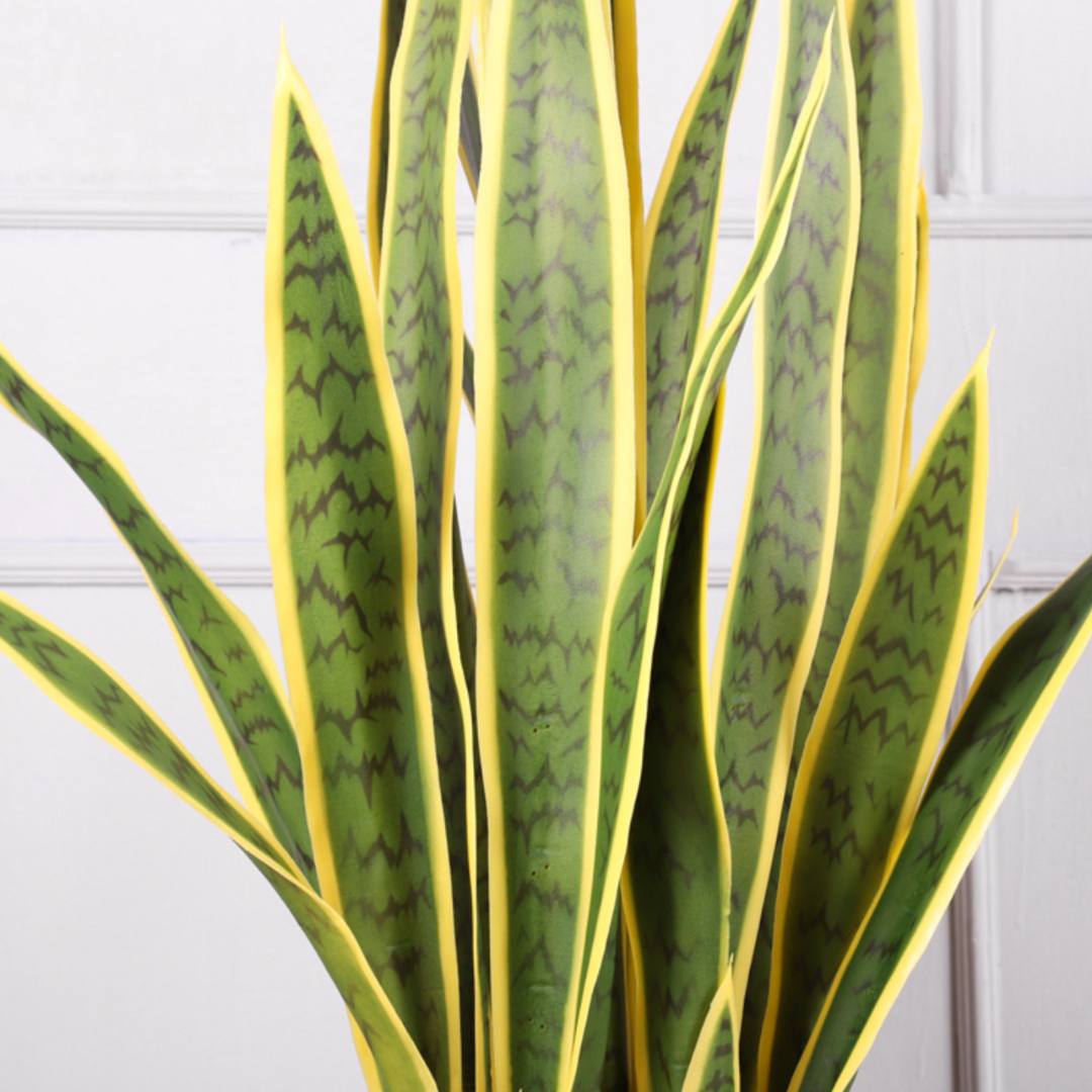 Artificial Sanseveria / Snake Plant (Duo Colour) - 89cm