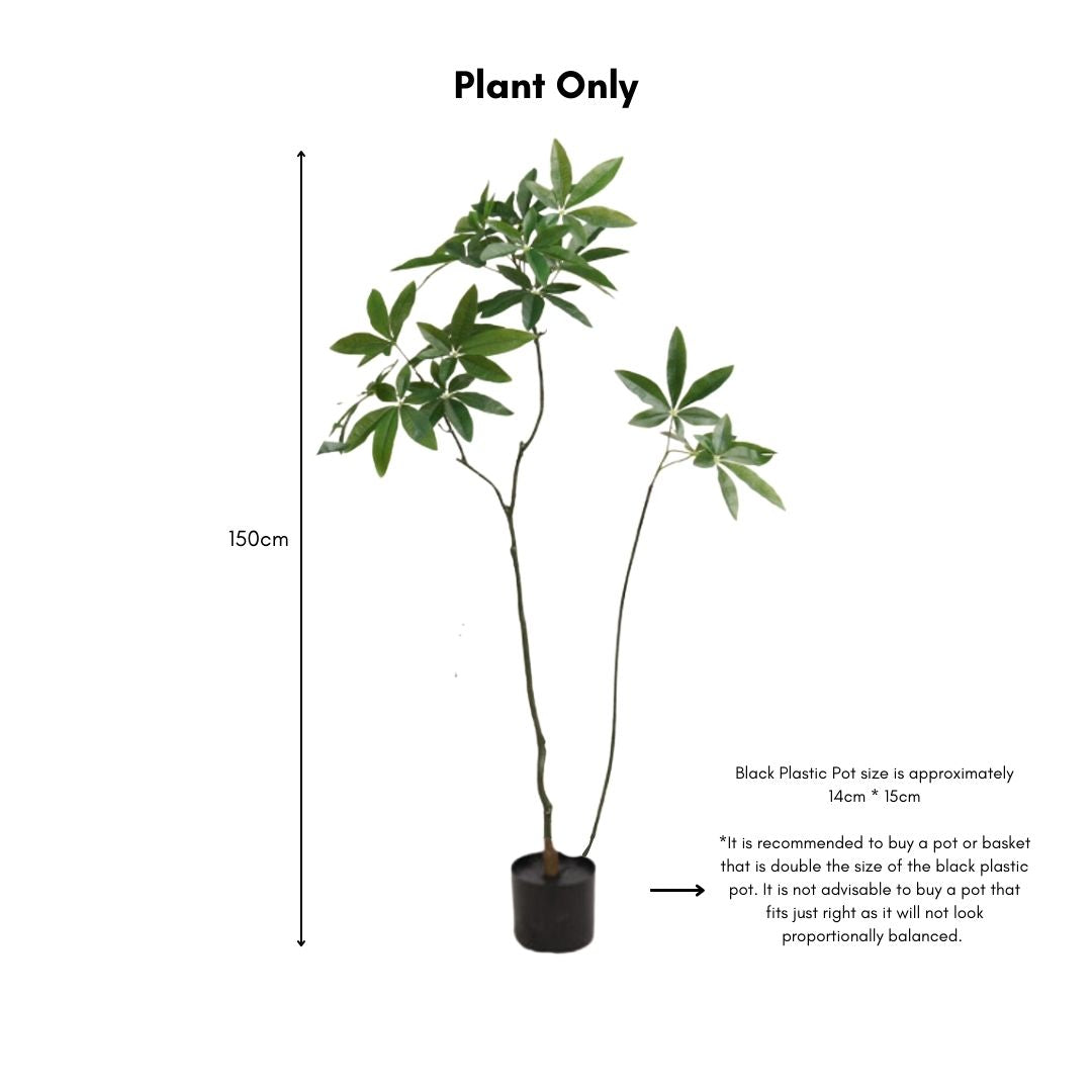 Artificial Pachira Money Tree