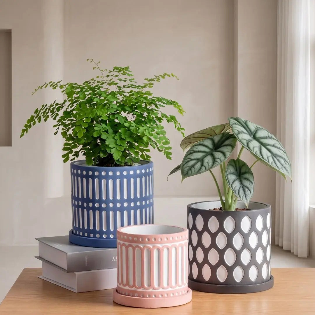 Dionne Concrete Flower Pot    Speckled Space