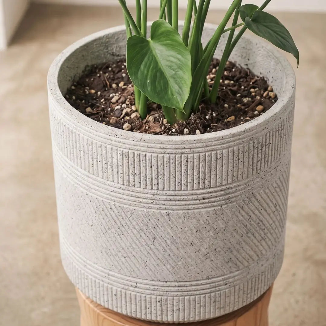 Pylota Concrete Flower Pot - Design S My Store