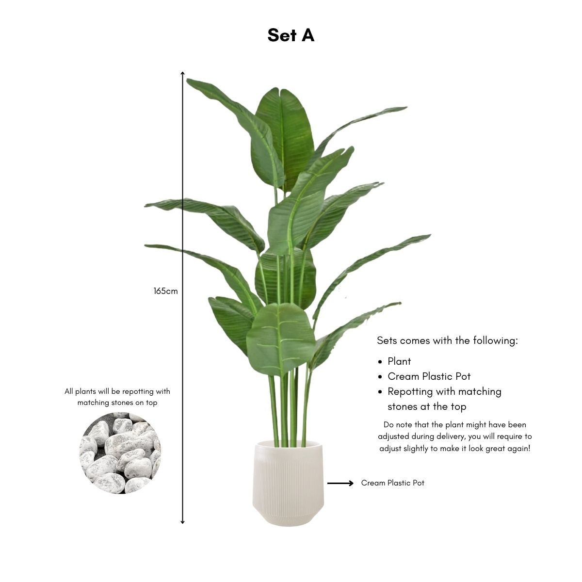Faux Banana Leaf / Ravenala Plant - 160cm