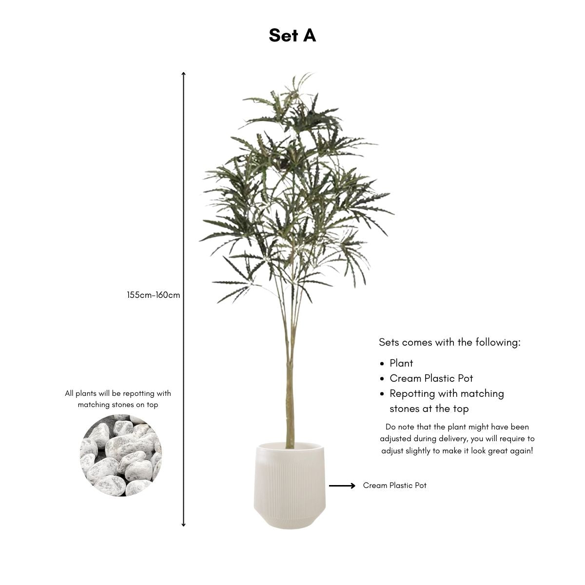 Faux False Aralia Plant