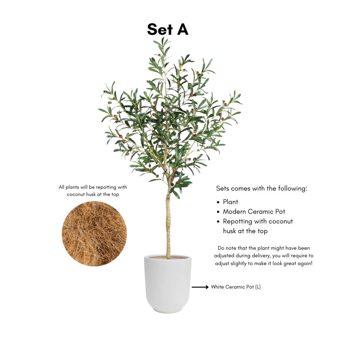 Artificial Olive Tree