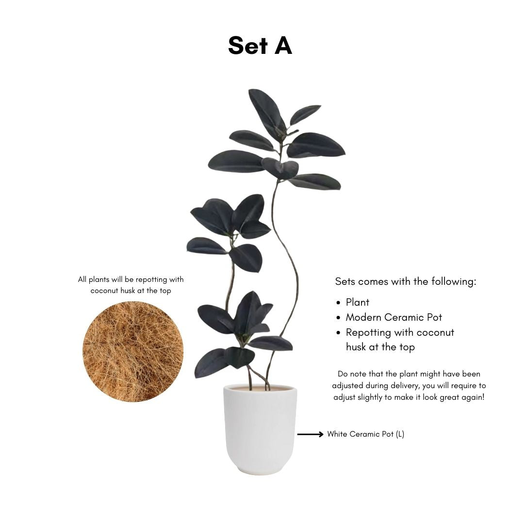 Artificial Ficus Elastica Tree