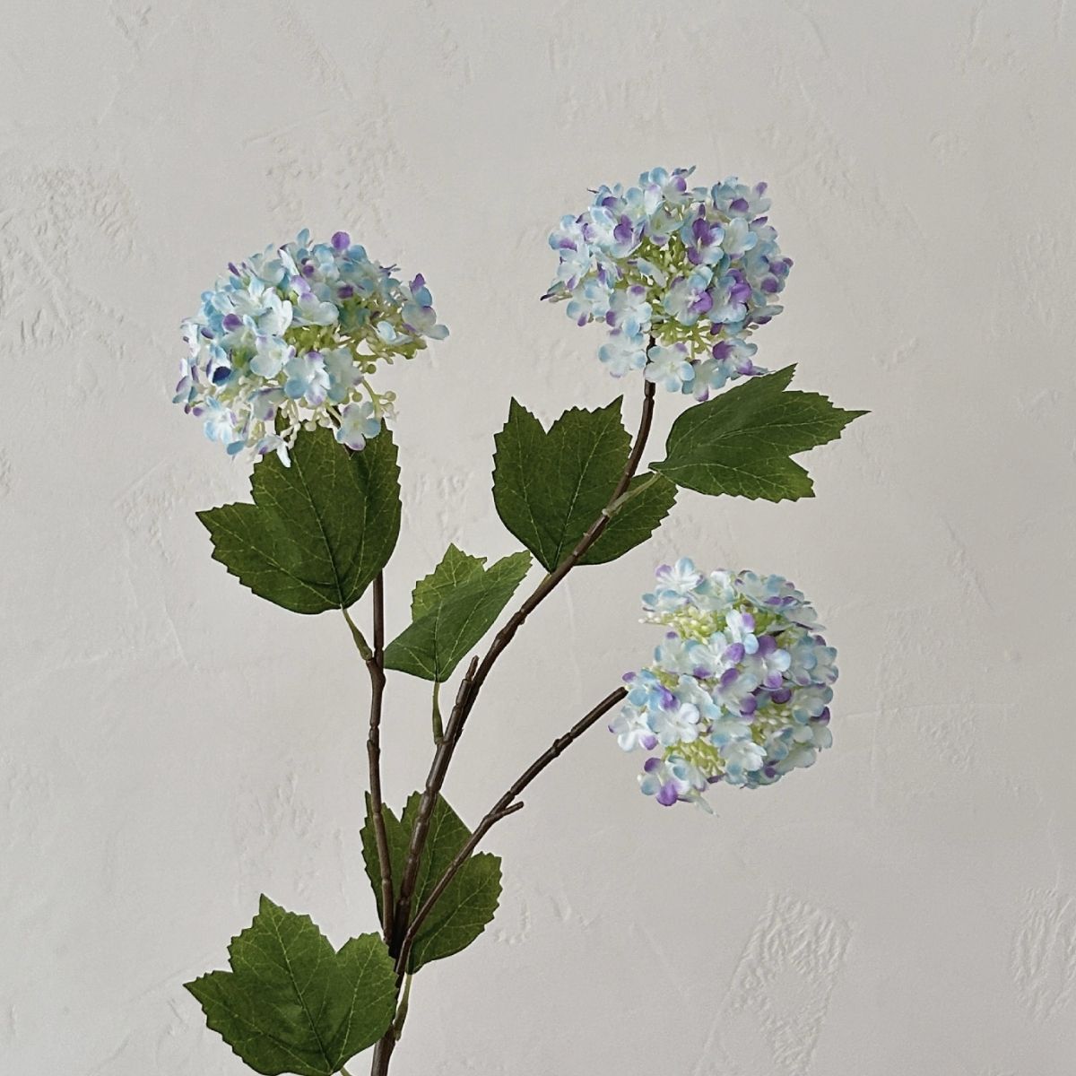 Faux Snowball Viburnum  - Blue