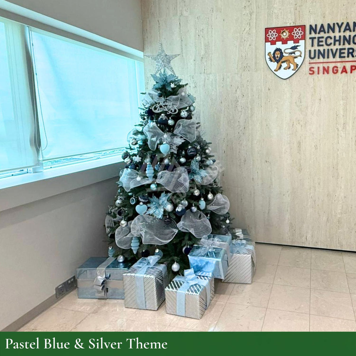 Past Christmas Tree Setup