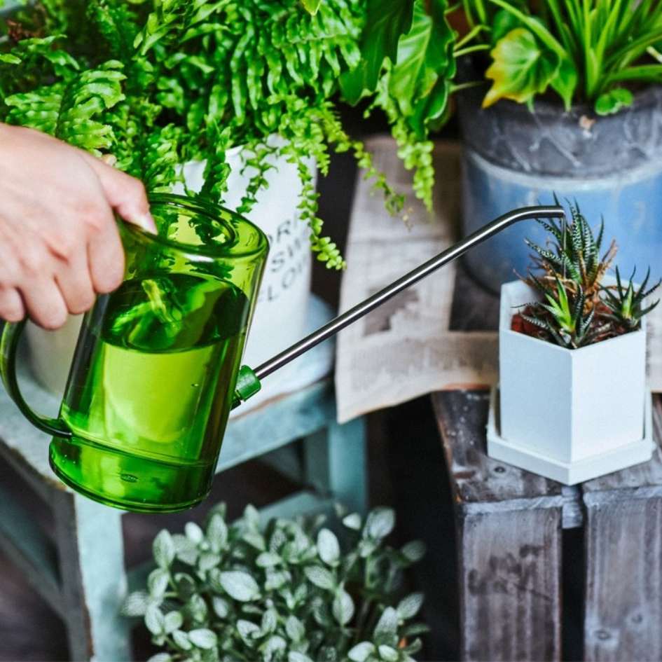 Trulence Watering Can with Long Mouth