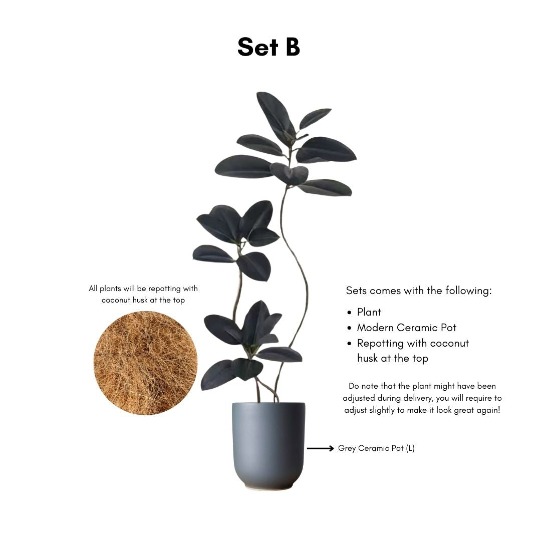 Artificial Ficus Elastica Tree