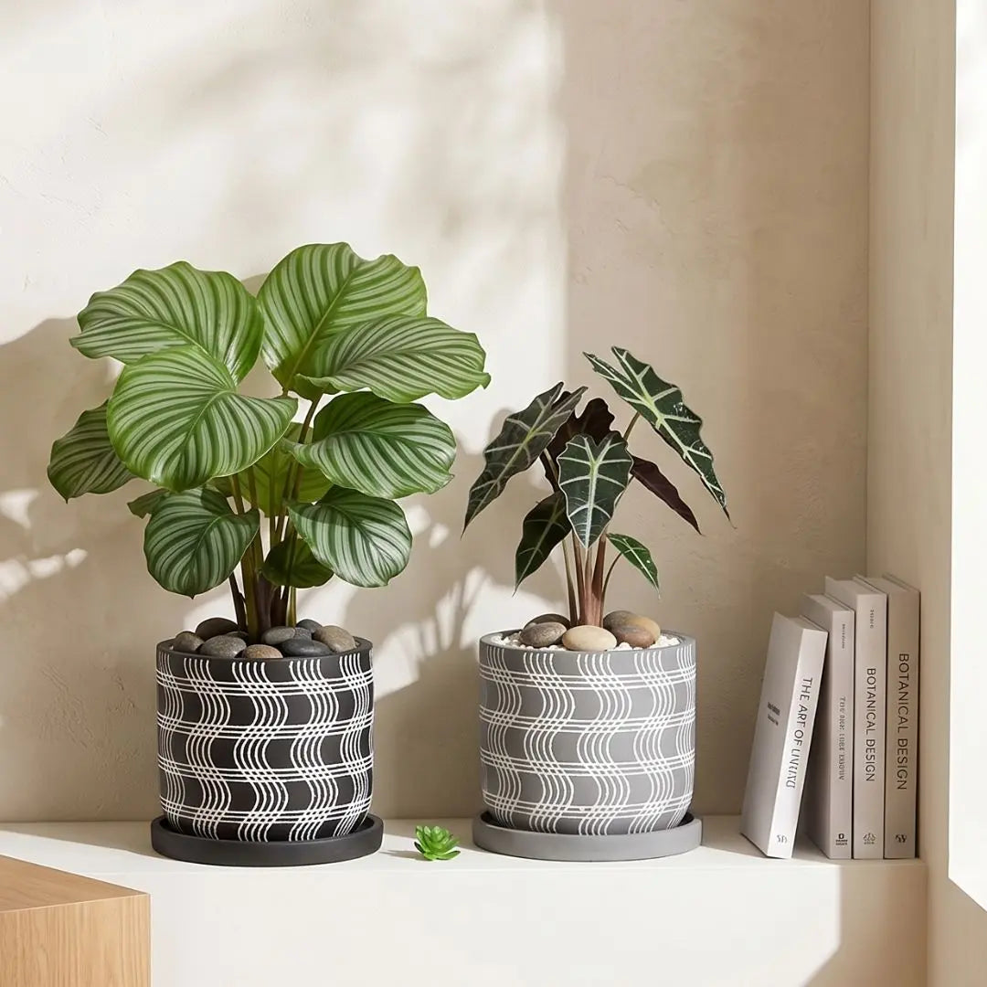 Raven Concrete Flower Pot   Small & Medium Flower Pot Speckled Space