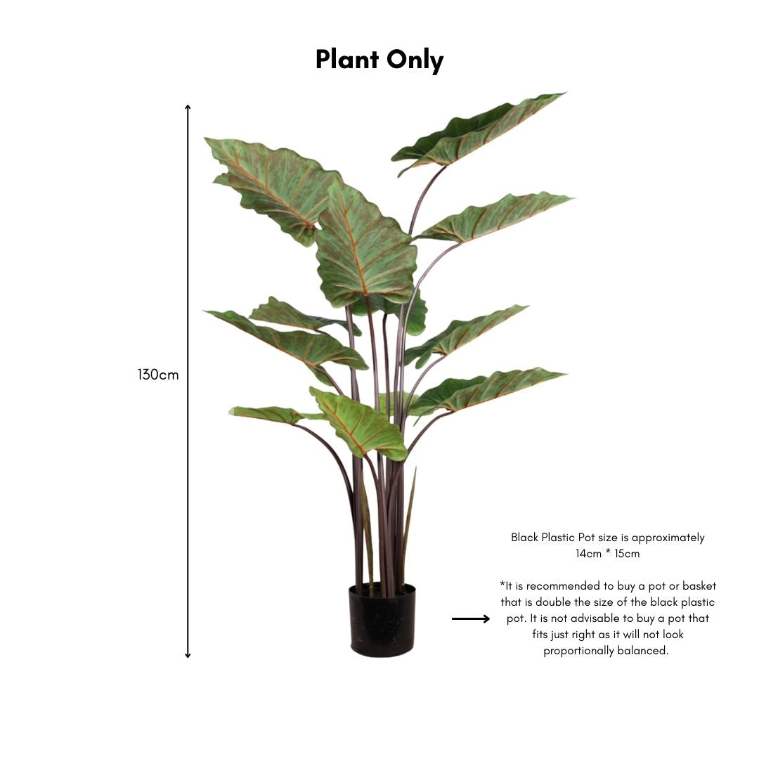 Artificial Alocasia Plant - 130cm