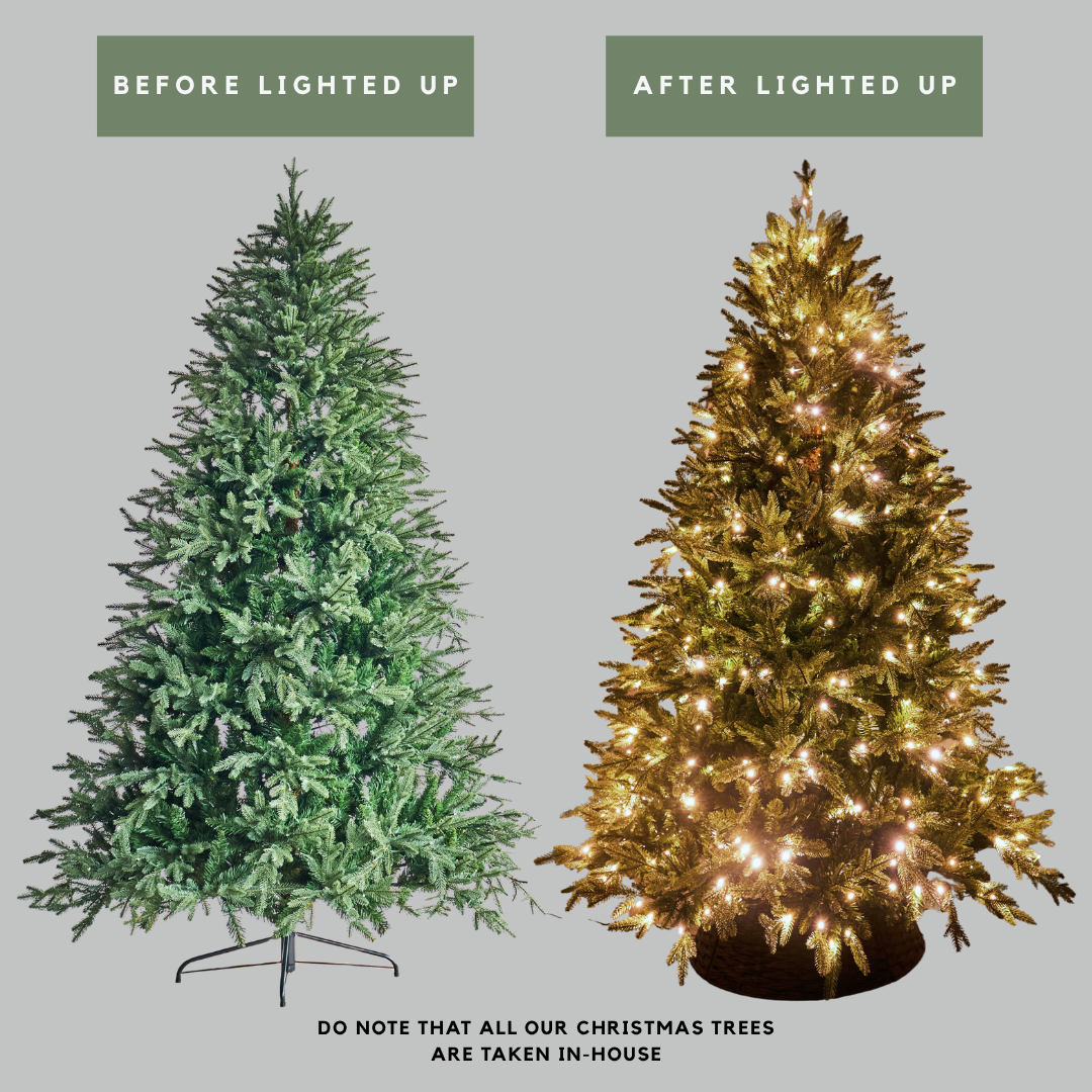 Florentine Fraser Fir Faux Built-in LED Lights Christmas Tree