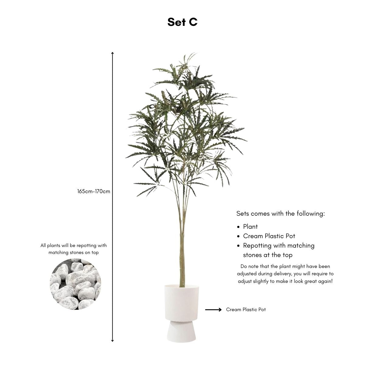 Faux False Aralia Plant