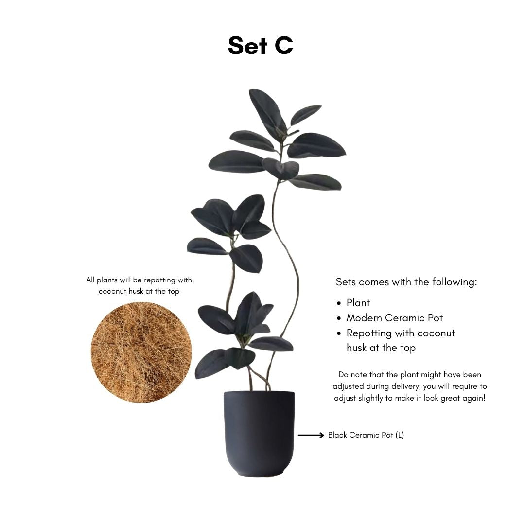 Artificial Ficus Elastica Tree