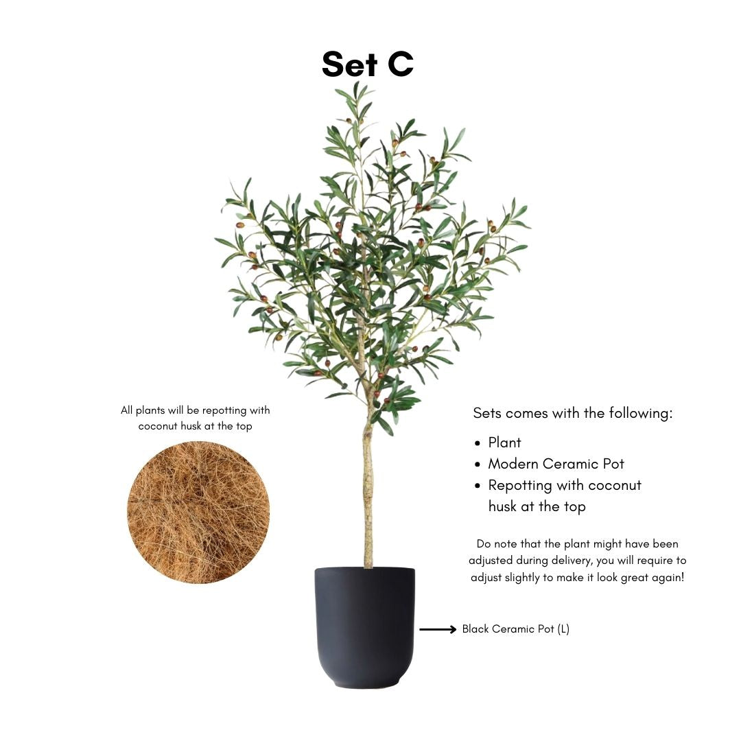 Artificial Olive Tree