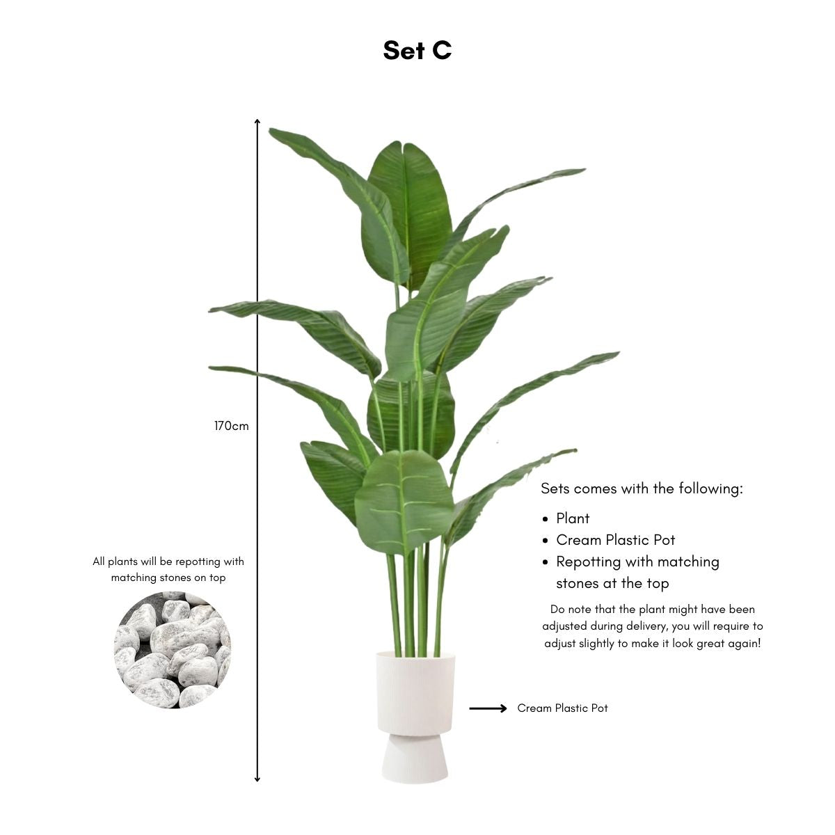 Faux Banana Leaf / Ravenala Plant - 160cm