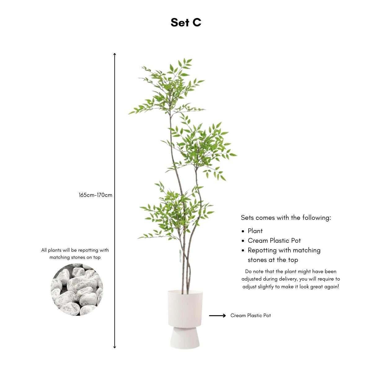 Faux Sky Bamboo Plant