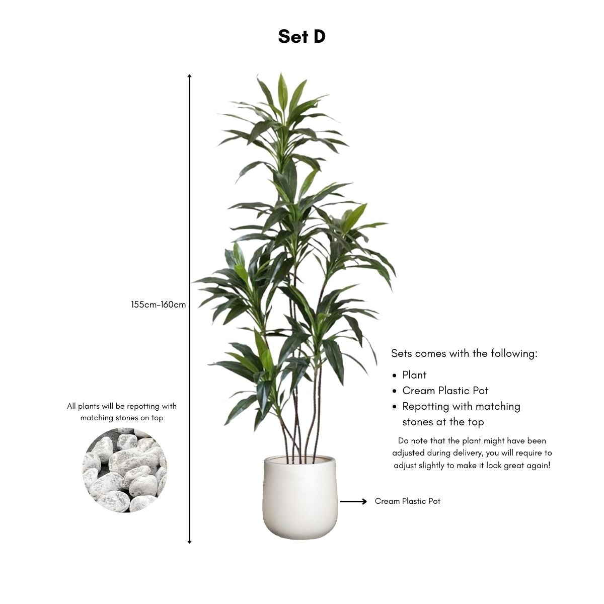 Faux Dracena Swan Plant