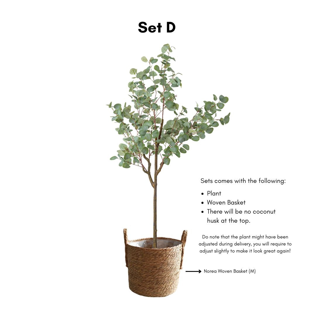 Artificial Eucalyptus Tree