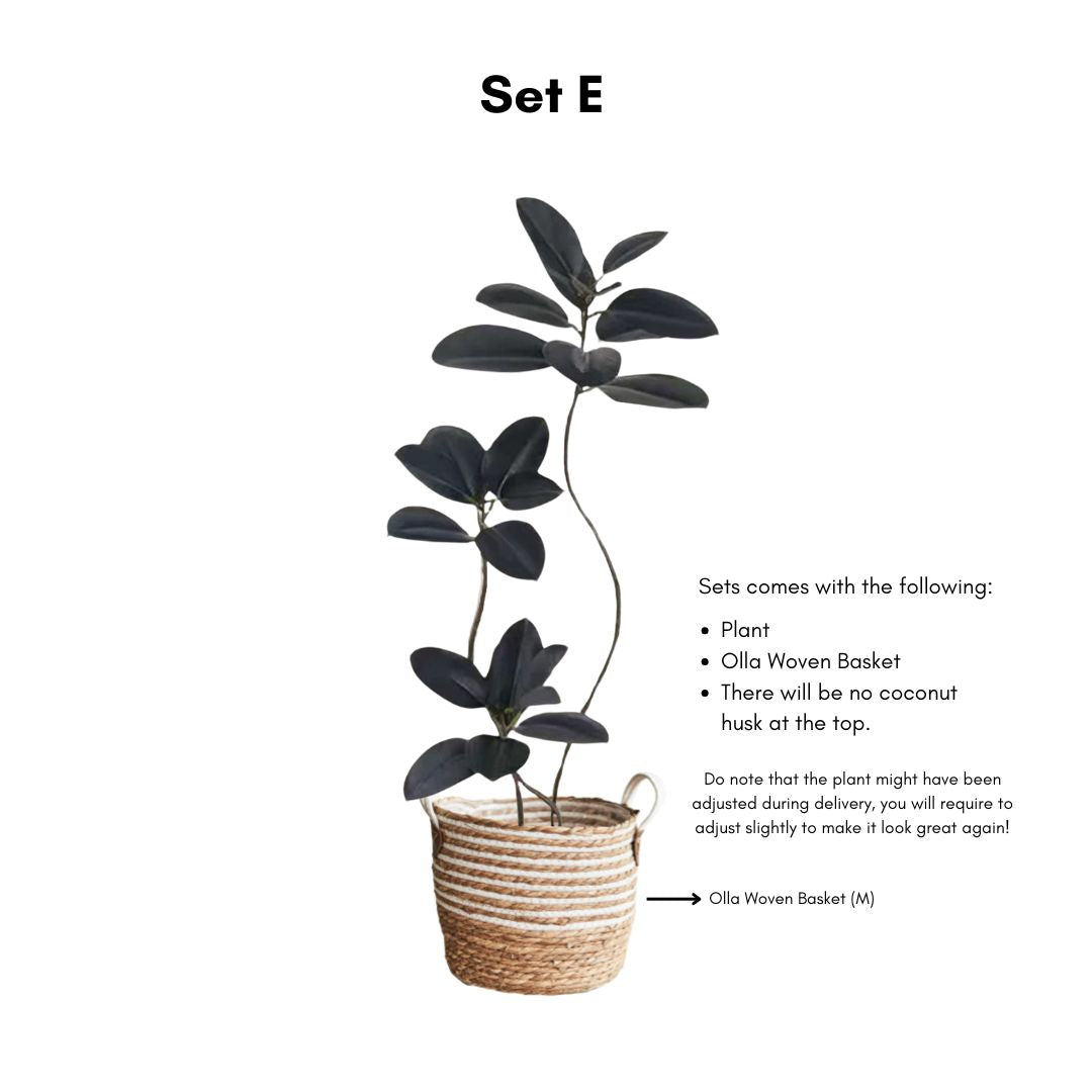 Artificial Ficus Elastica Tree