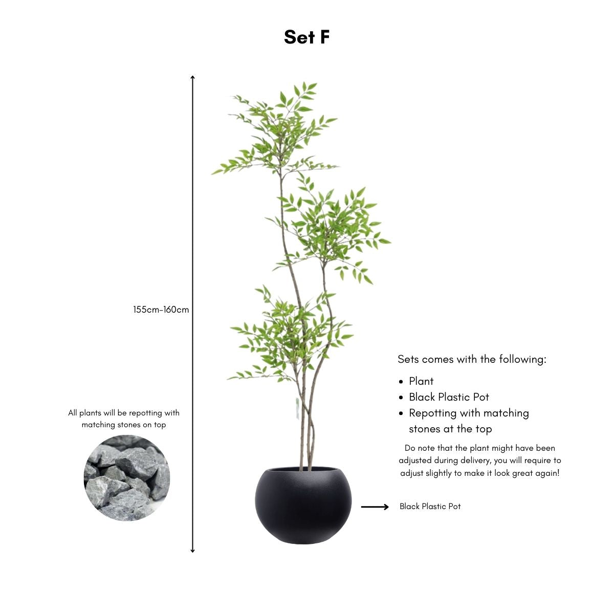 Faux Sky Bamboo Plant