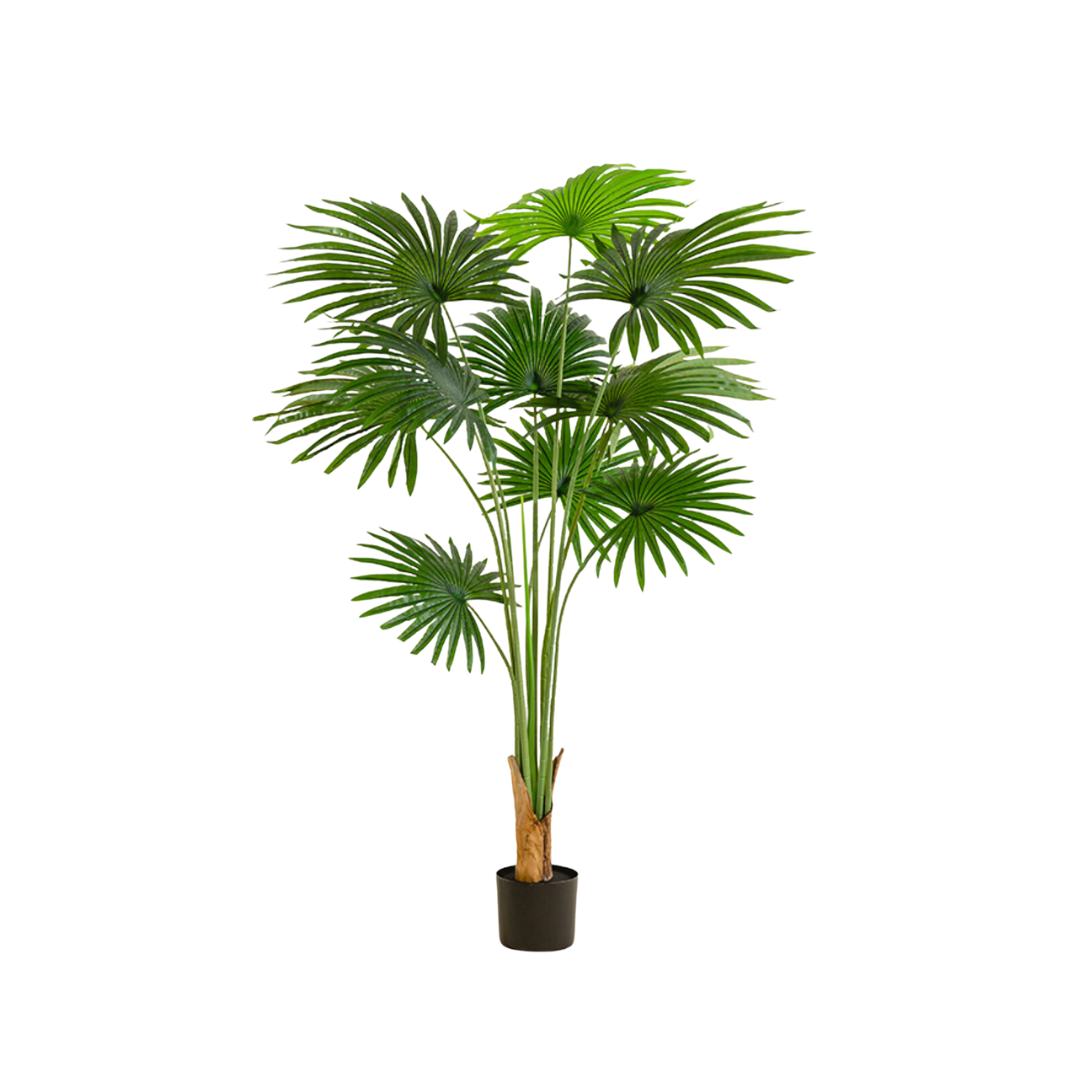 Artificial Palmetto Tree - 180cm