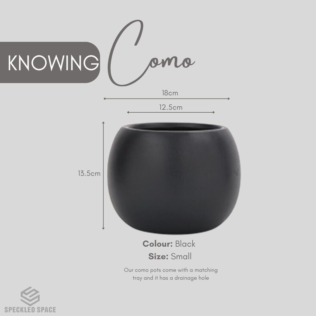 Como Ceramic Flower Pot