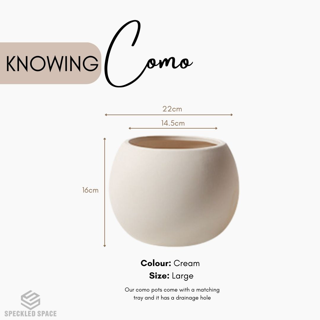 Como Ceramic Flower Pot