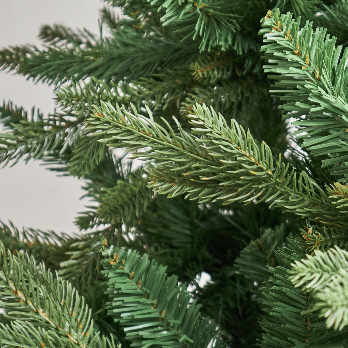 Close-up showing the realistic, dark green foliage of the Evangel Fraser Fir Christmas Tree. Crafted with high-quality tips for a lush look in your HDB or condo, easily standing out against other competitors selling Christmas trees in Singapore like Tidings and Dazzle Decor.