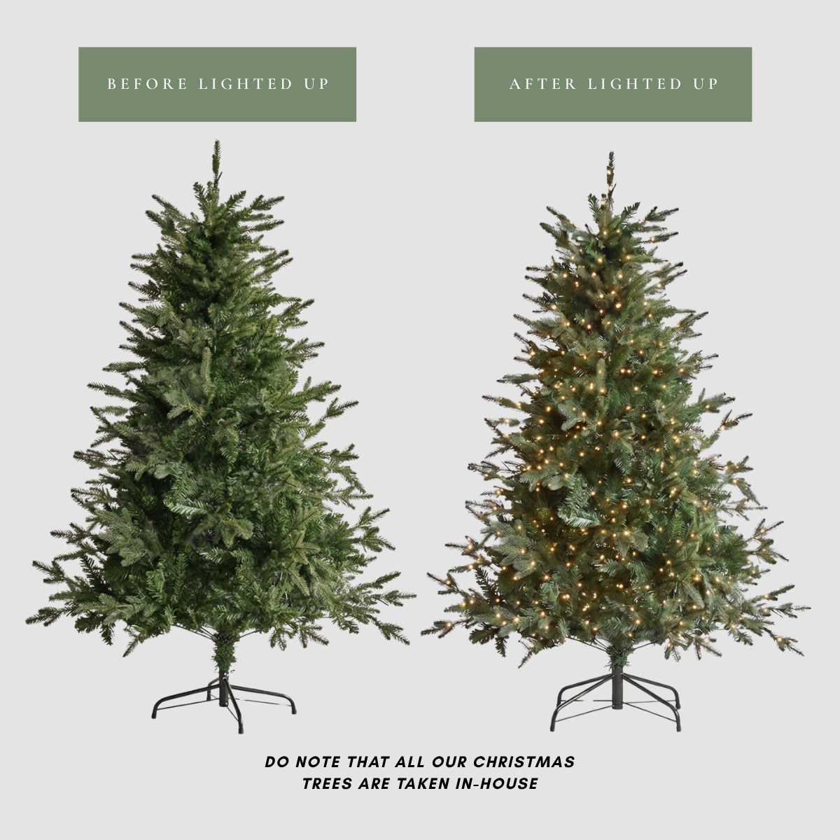 Before and after comparison of the Speckled Space pre-lit Florentine Fraser Fir Christmas tree, highlighting the warm built-in LED lights. A premium alternative to Masons Home Decor in Singapore.
