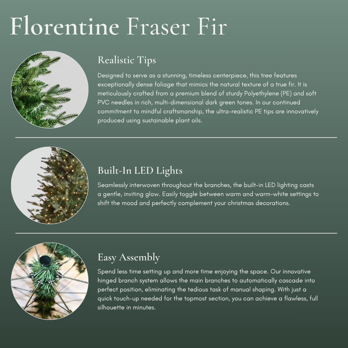 Infographic highlighting the Florentine Fraser Fir features: realistic tips, built-in LED lights, and easy assembly hinged branches. A top-tier alternative to Masons Home Decor in Singapore