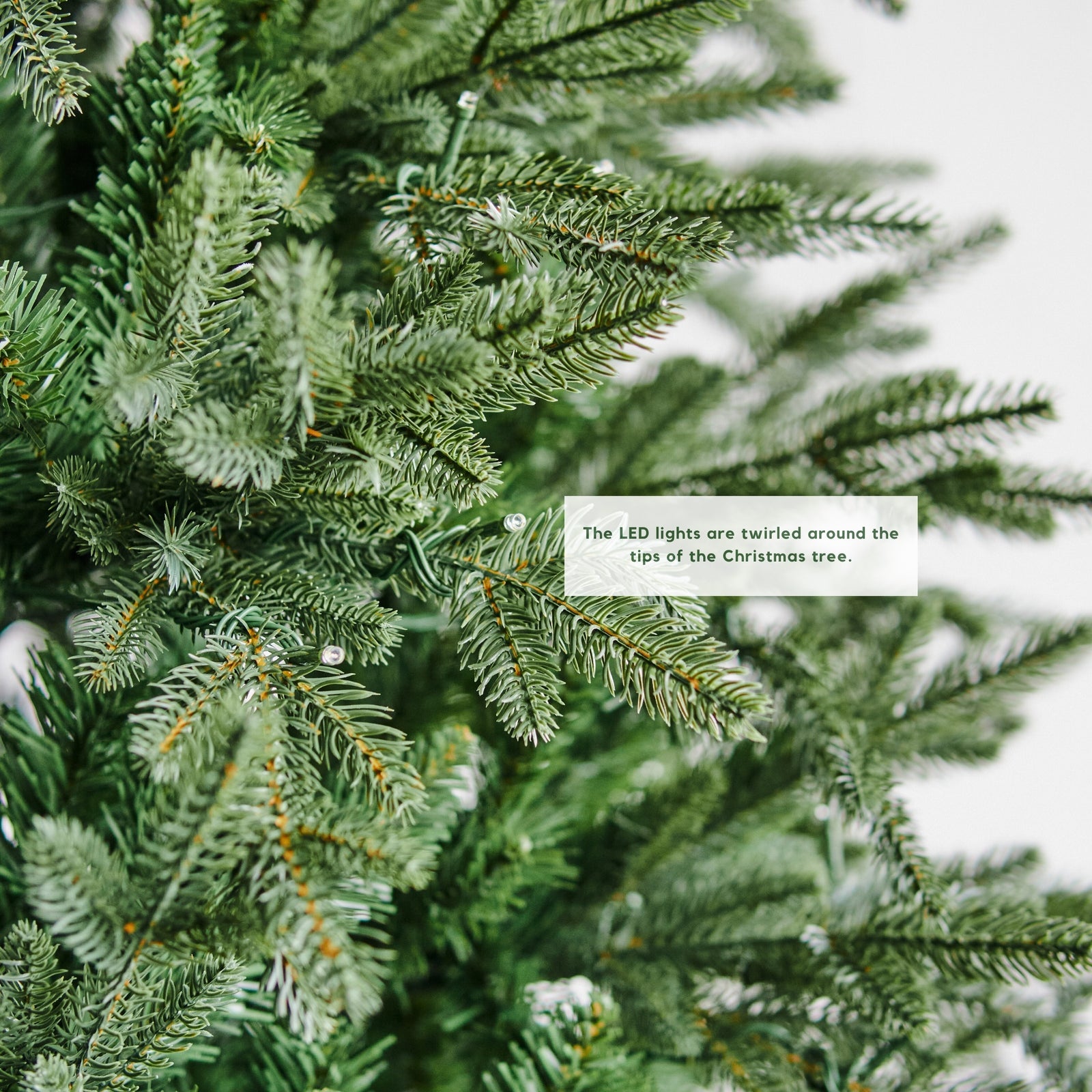 Detailed close-up of the pre-lit warm white LED lights on a section of the Natale Fraser Fir Pre-Lit LED Christmas Tree, highlighting the natural color of the needles and the Plug and Play convenience