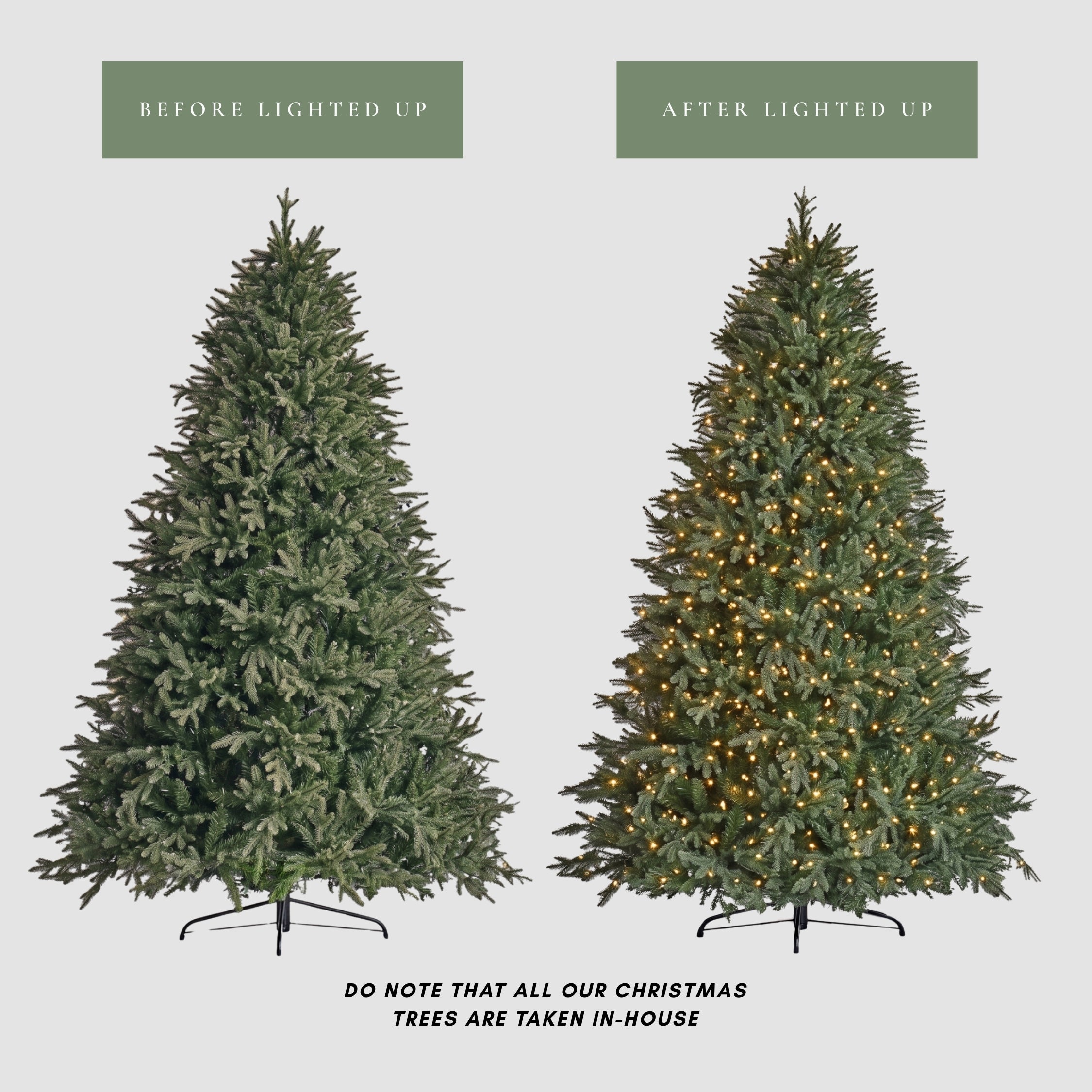 A close-up photograph of the realistic branch tips of the Natale Fraser Fir, featuring soft, integrated LED lights that make setup effortless and provide a rival look to Mason's Home Decor's top models.