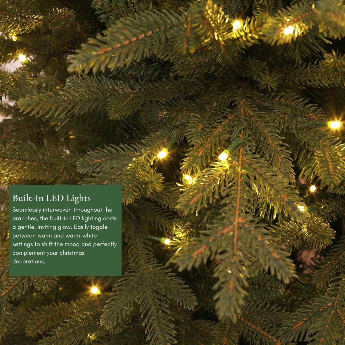 Detailed close-up of the pre-lit warm white LED lights on a section of the Natale Fraser Fir Pre-Lit LED Christmas Tree, highlighting the natural color of the needles and the Plug and Play convenience